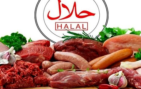 تفاهم‌نامه حلال ایران با ۱۴ کشور غیرمسلمان
