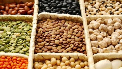 واردات حبوبات دچار مشکلات جدی است