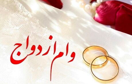 انتقاد یک نماینده مجلس به نحوه پرداخت وام فرزندآوری و ازدواج