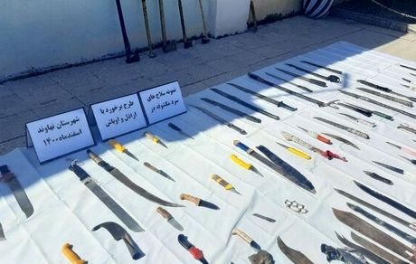 دستگیری ۵۰ نفر از اراذل و اوباش در نهاوند