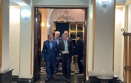 مدیرکل آژانس بین‌المللی انرژی اتمی وارد ایران شد