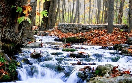 تعطیلی دره چهلمیر در پارک ملی تندوره درگز
