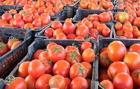 عراق واردات گوجه فرنگی از ایران را آغاز کرد