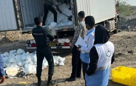 کشف و معدوم‌سازی محموله ۵ تنی زبان گراز در میناب