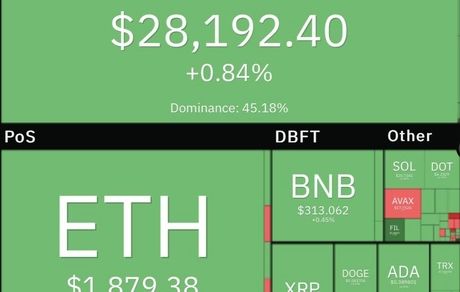 رشد همگی رمزارزها در بازار جهانی