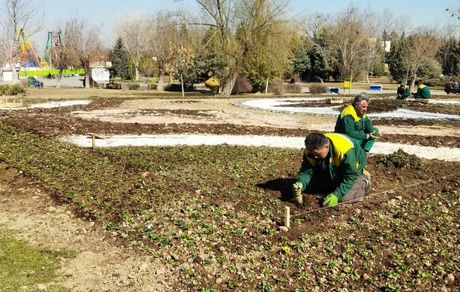 آغاز آماده‌سازی فضای شهری ارومیه برای نوروز ۱۴۰۵ 