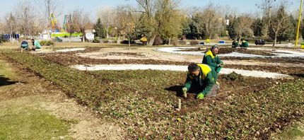 آغاز آماده‌سازی فضای شهری ارومیه برای نوروز ۱۴۰۵ 