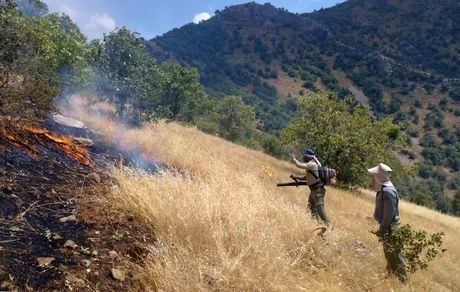 آتش ییلاقات روستایی مرشون ابهر خاموش شد