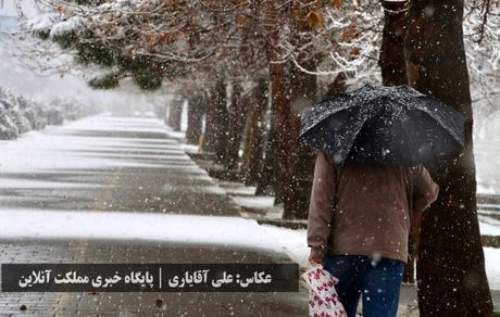 طراوت زمستانی ارومیه با اولین برف سال / تصاویر