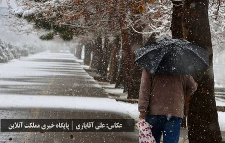 طراوت زمستانی ارومیه با اولین برف سال / تصاویر