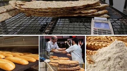 ۲۰ درصد نان در کشور ضایعات می‌شود