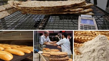 ۲۰ درصد نان در کشور ضایعات می‌شود