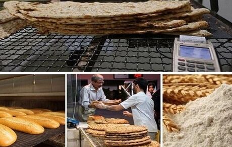 ۲۰ درصد نان در کشور ضایعات می‌شود