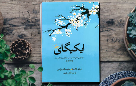 خبر خوشی که دانشمندان درباره کرونا دادند/ همه چیز درباره چای سبز: فواید، نحوه دم کردن، میزان مصرف و احتیاط ها