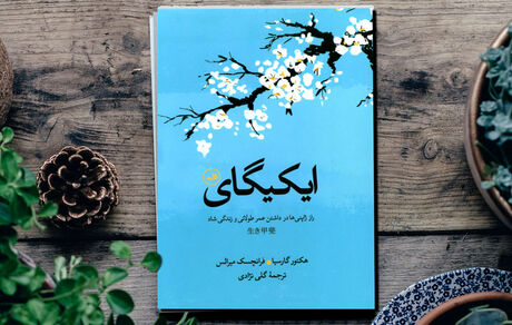 خبر خوشی که دانشمندان درباره کرونا دادند/ همه چیز درباره چای سبز: فواید، نحوه دم کردن، میزان مصرف و احتیاط ها