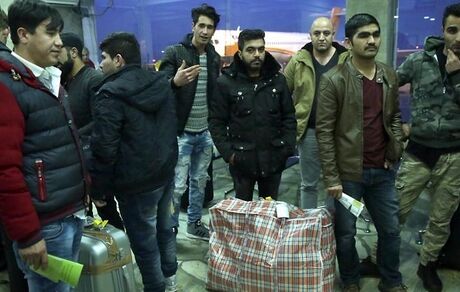 توقف اخراج مهاجران افغانستانی از آلمان و هلند بدلیل جنگ