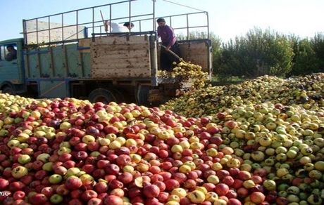 سالانه در ایران، به اندازه غذای ۹ میلیون نفر، محصول کشاورزی هدر می‌رود