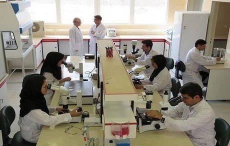 تمدید مهلت مرحله نخست فراخوان طرح‌های پژوهشی اعضای هیأت علمی پسادکتری دانشگاه علوم پزشکی تهران