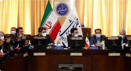 بررسی لایحه صیانت از حقوق زنان در کمیسیون اجتماعی