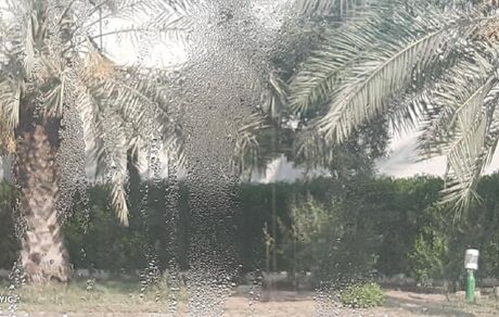 رطوبت هوا در آبادان و خرمشهر به ۱۰۰ درصد رسید