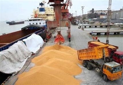 ستاد تنظیم بازار بیش اظهاری ۵ درصدی واردات کالاهای اساسی را بخشید