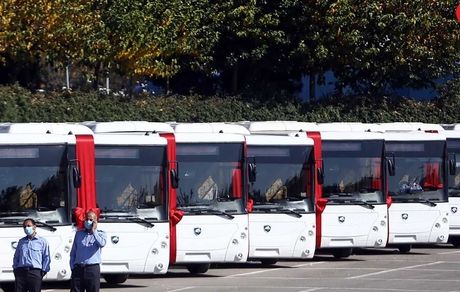 ورود۵۰۰ اتوبوس جدید به پایتخت/ فعالیت مجدد خطوط سرویس مدرسه