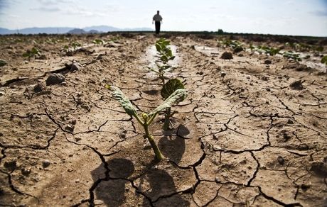 بحران شدید خشکسالی در سراسر استان قم