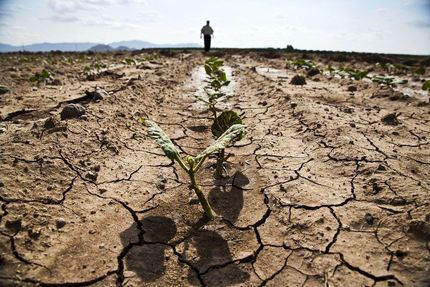 بحران شدید خشکسالی در سراسر استان قم