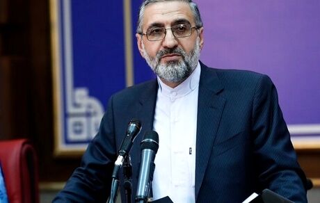 سخنگوی قوه قضائیه: نازنین زاغری در سلامت کامل است/ مرخصی بیش از ۵۴ هزار زندانی/ نظارت بر توزیع کالاها با دولت است