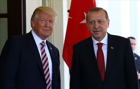 گفت‌وگوی تلفنی اردوغان و ترامپ درباره تحولات لیبی