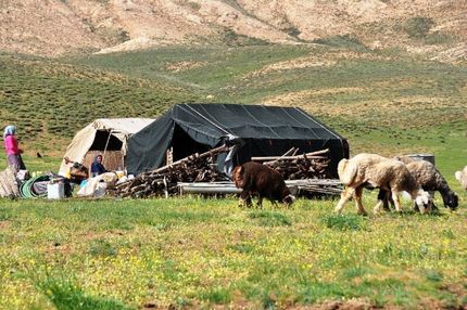 آغاز کوچ عشایر استان تهران