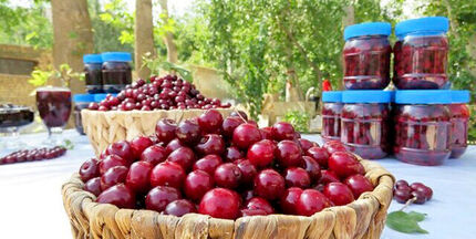 زنگینه میزبان چهارمین جشنواره آلبالو