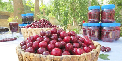 زنگینه میزبان چهارمین جشنواره آلبالو