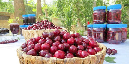 زنگینه میزبان چهارمین جشنواره آلبالو