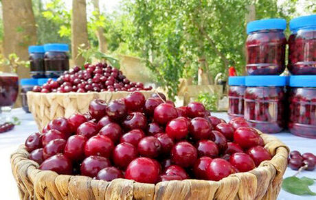 زنگینه میزبان چهارمین جشنواره آلبالو