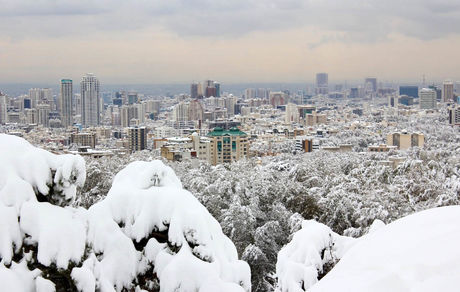 
آغاز بارش نخستین برف پاییزی در تهران
