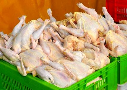 عرضه گوشت مرغ، ۲۷ درصد افزایش یافت