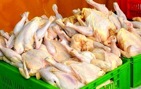 عرضه گوشت مرغ، ۲۷ درصد افزایش یافت