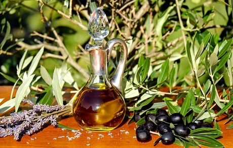 آغاز برداشت زیتون روغنی از ۵۷۰ هکتار باغات دالاهو