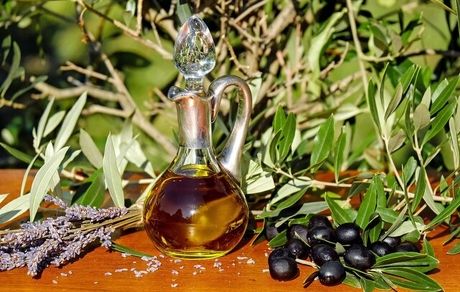 آغاز برداشت زیتون روغنی از ۵۷۰ هکتار باغات دالاهو