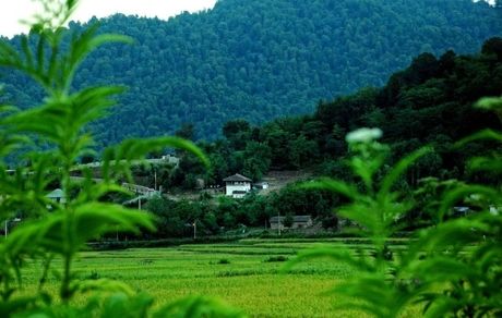 آماده‌باش در گیلان