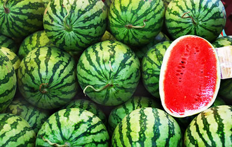 صادرات ۲۰۸ میلیون دلاری هندوانه/ ارسال به ترکیه در حد ۱۰۰ کامیون