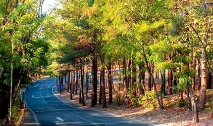 موکول شدن تدریجی آبیاری فضاهای سبز تهران به ساعات شب