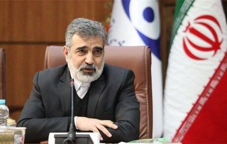 مذاکرات «ناتمام» با آژانس ادامه دارد/ دنیا باید واقعیت هسته‌ای ایران را بپذیرد
