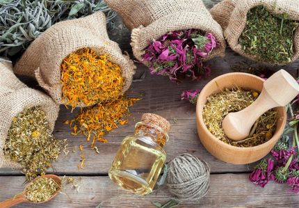 85 طرح‌ در حوزه گیاهان دارویی برای کمک به درمان کرونا مصوب شد