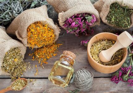 85 طرح‌ در حوزه گیاهان دارویی برای کمک به درمان کرونا مصوب شد