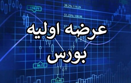 لغو عرضه اولیه در بورس تا اطلاع ثانوی