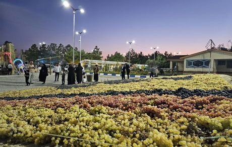 هشتمین جشنواره انگور ارومیه با حضور گردشگران داخلی و خارجی + تصاویر