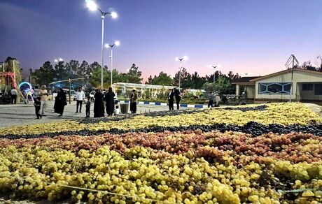 هشتمین جشنواره انگور ارومیه با حضور گردشگران داخلی و خارجی + تصاویر