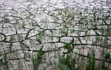 مشکل جدی آب در تابستان سال آینده با تداوم کم‌بارشی